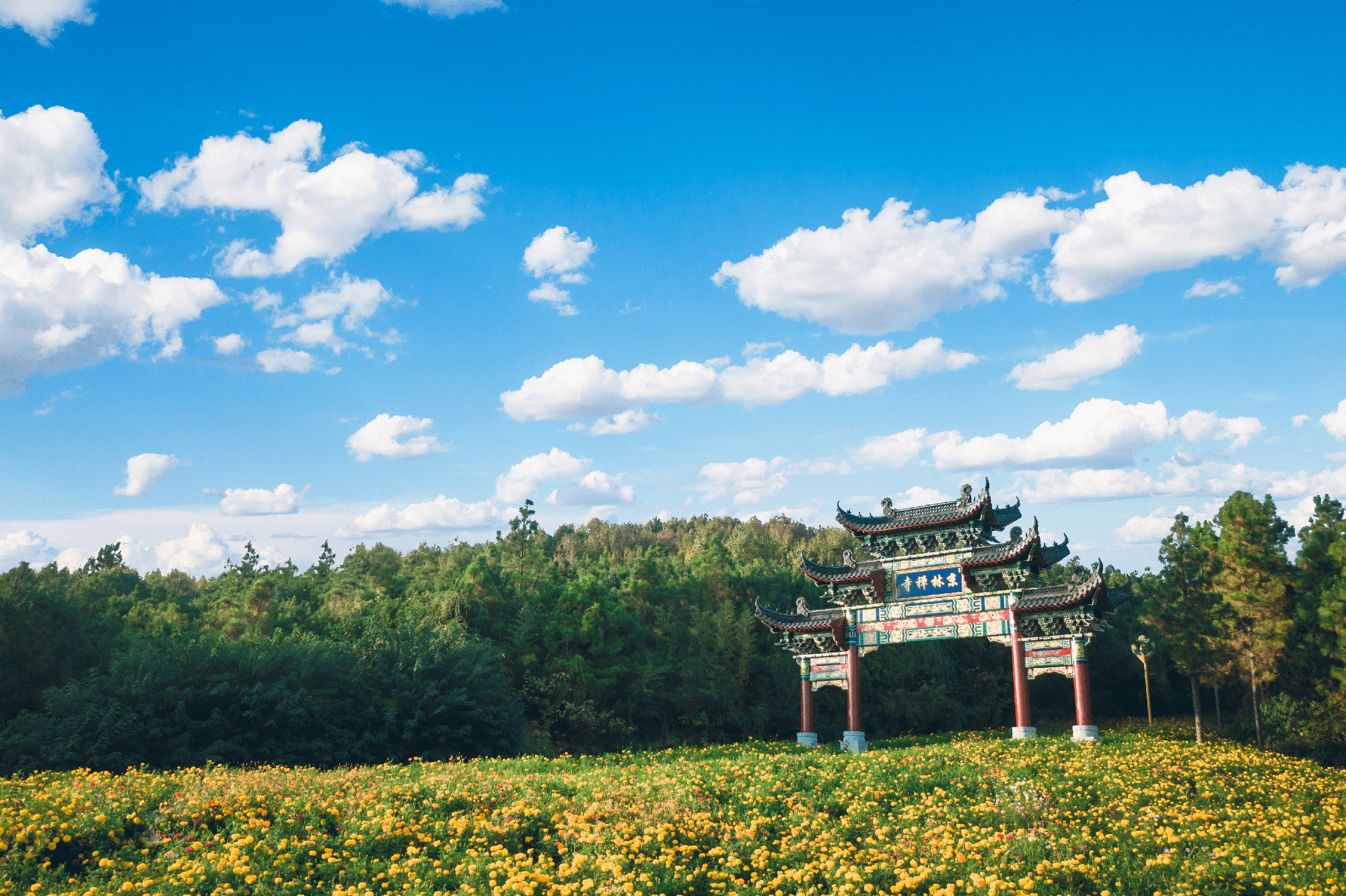 曹山