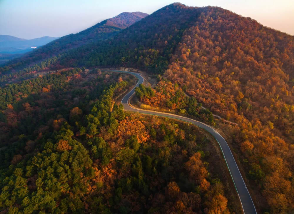 曹山