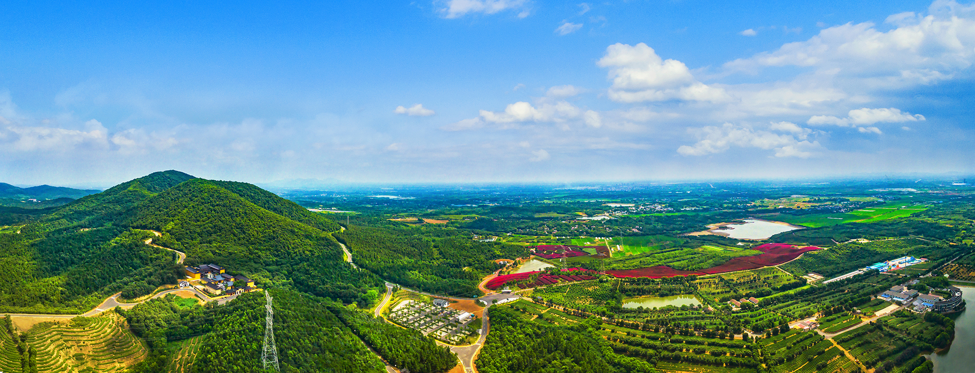 曹山