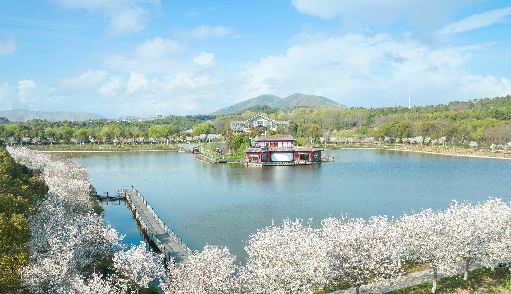 曹山